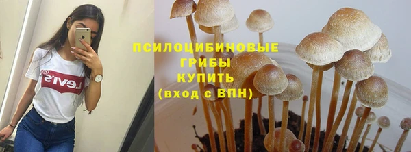 ECSTASY Абинск