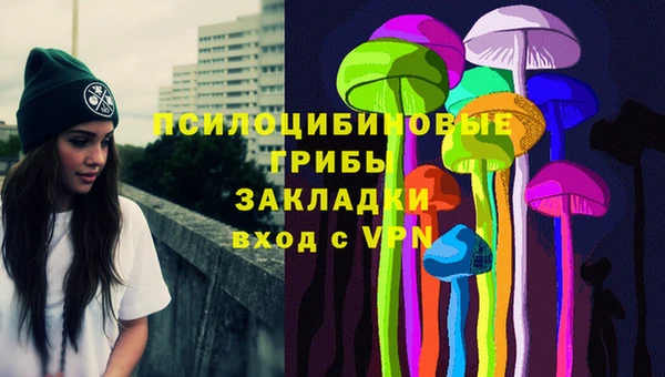 ECSTASY Козельск