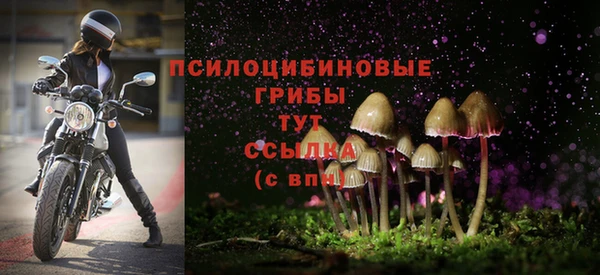 крисы Алексин