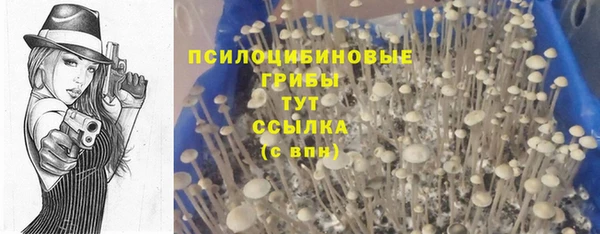 ECSTASY Козельск