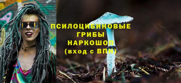мяу мяу мука Абдулино